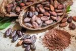 Preisboom: Wie sich die Rekordpreise für Kakao auf den Schokoladenmarkt auswirken werden